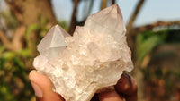 Natural White Cactus Flower Spirit Quartz Specimens x 12 From Boekenhouthoek, South Africa