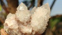 Natural White Cactus Flower Spirit Quartz Specimens x 12 From Boekenhouthoek, South Africa