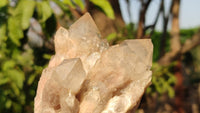 Natural Cascading Smokey Quartz Clusters  x 2 From Luena, Congo