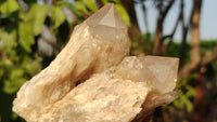 Natural Cascading Smokey Quartz Clusters  x 2 From Luena, Congo