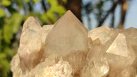 Natural Cascading Smokey Quartz Clusters  x 2 From Luena, Congo