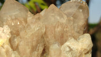 Natural Cascading Smokey Quartz Clusters  x 2 From Luena, Congo