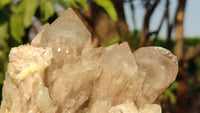 Natural Cascading Smokey Quartz Clusters  x 2 From Luena, Congo