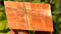 Natural New Sunset Orange Calcite Specimens  x 12 From Spitzkop, Namibia