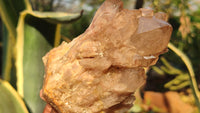 Natural Cascading Smokey Quartz Clusters x 3 From Luena, Congo