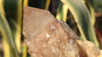 Natural Cascading Smokey Quartz Clusters x 3 From Luena, Congo