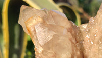 Natural Cascading Smokey Quartz Clusters x 3 From Luena, Congo