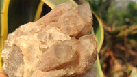 Natural Cascading Smokey Quartz Clusters x 3 From Luena, Congo