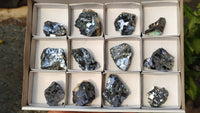 Natural Silver Lead Galena Specimens  x 12 From Namibia