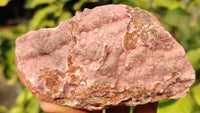 Natural Pink Salrose Cobaltion Dolomite Specimens x 6 From Kakanda, Congo