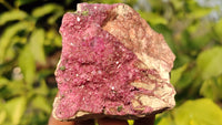 Natural Pink Salrose Cobaltion Dolomite Specimens x 6 From Kakanda, Congo