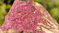 Natural Pink Salrose Cobaltion Dolomite Specimens x 6 From Kakanda, Congo