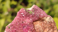 Natural Pink Salrose Cobaltion Dolomite Specimens x 6 From Kakanda, Congo