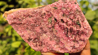 Natural Pink Salrose Cobaltion Dolomite Specimens x 6 From Kakanda, Congo