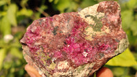 Natural Pink Salrose Cobaltion Dolomite Specimens x 6 From Kakanda, Congo