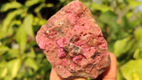 Natural Pink Salrose Cobaltion Dolomite Specimens x 6 From Kakanda, Congo