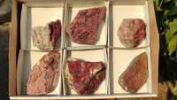 Natural Pink Salrose Cobaltion Dolomite Specimens x 6 From Kakanda, Congo