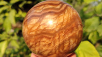 Polished  Chocolate Swirl Aragonite Spheres  x 3 From Madagascar