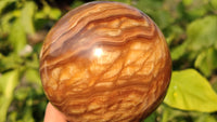 Polished  Chocolate Swirl Aragonite Spheres  x 3 From Madagascar