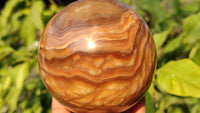 Polished  Chocolate Swirl Aragonite Spheres  x 3 From Madagascar