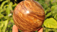 Polished  Chocolate Swirl Aragonite Spheres  x 3 From Madagascar