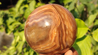 Polished  Chocolate Swirl Aragonite Spheres  x 3 From Madagascar