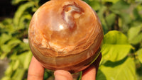 Polished  Chocolate Swirl Aragonite Spheres  x 3 From Madagascar