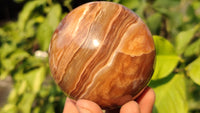 Polished  Chocolate Swirl Aragonite Spheres  x 3 From Madagascar