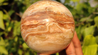 Polished  Chocolate Swirl Aragonite Spheres  x 3 From Madagascar