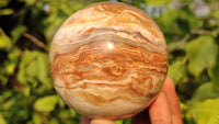 Polished  Chocolate Swirl Aragonite Spheres  x 3 From Madagascar