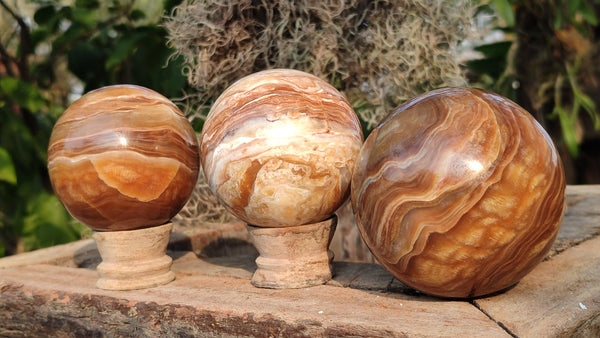 Polished  Chocolate Swirl Aragonite Spheres  x 3 From Madagascar