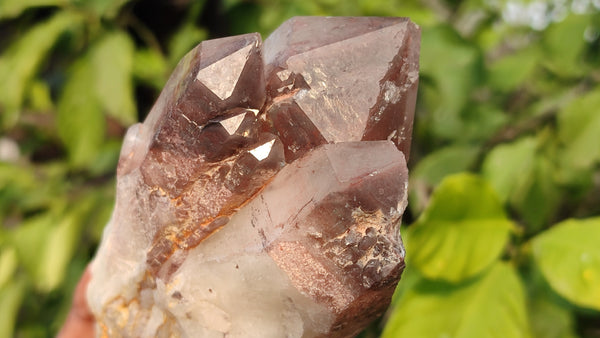 Natural Red Hematoid Quartz Specimens x 3 From Karoi, Zimbabwe