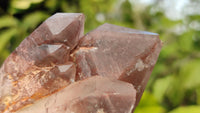 Natural Red Hematoid Quartz Specimens x 3 From Karoi, Zimbabwe