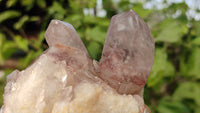 Natural Red Hematoid Quartz Specimens x 3 From Karoi, Zimbabwe