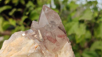 Natural Red Hematoid Quartz Specimens x 3 From Karoi, Zimbabwe