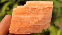 Natural New Sunset Orange Calcite Specimens  x 35 From Spitzkop, Namibia