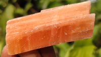 Natural New Sunset Orange Calcite Specimens  x 35 From Spitzkop, Namibia