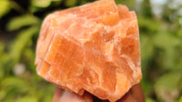 Natural New Sunset Orange Calcite Specimens  x 35 From Spitzkop, Namibia