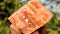 Natural New Sunset Orange Calcite Specimens  x 35 From Spitzkop, Namibia