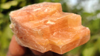 Natural New Sunset Orange Calcite Specimens  x 35 From Spitzkop, Namibia