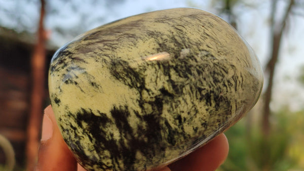 Polished  Large Leopard Stone Free Forms  x 4 From Zimbabwe