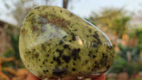 Polished  Large Leopard Stone Free Forms  x 4 From Zimbabwe