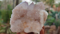 Natural Pale Spirit Amethyst Quartz Clusters x 12 From Boekenhouthoek, South Africa