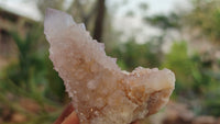 Natural Pale Spirit Amethyst Quartz Clusters x 12 From Boekenhouthoek, South Africa