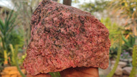 Natural Rough Rhodonite Specimen x 1 From Zimbabwe