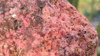 Natural Rough Rhodonite Specimen x 1 From Zimbabwe