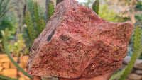 Natural Rough Rhodonite Specimen x 1 From Zimbabwe