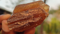 Natural Honey Aragonite Etched & Cobbed Pieces  x 35 From Namibia