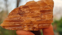 Natural Honey Aragonite Etched & Cobbed Pieces  x 35 From Namibia