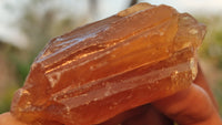 Natural Honey Aragonite Etched & Cobbed Pieces  x 35 From Namibia